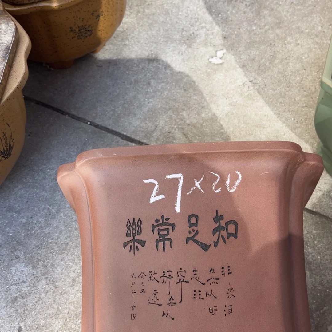 花盆紫砂盆景艺术