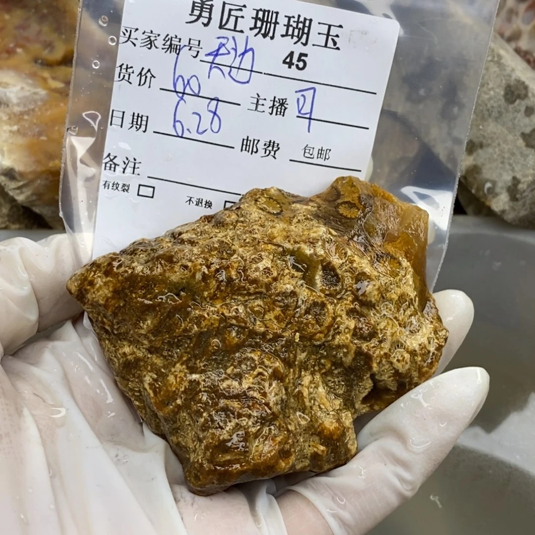 【闪购商品】硅化玉珊瑚玉未镶嵌＆****云