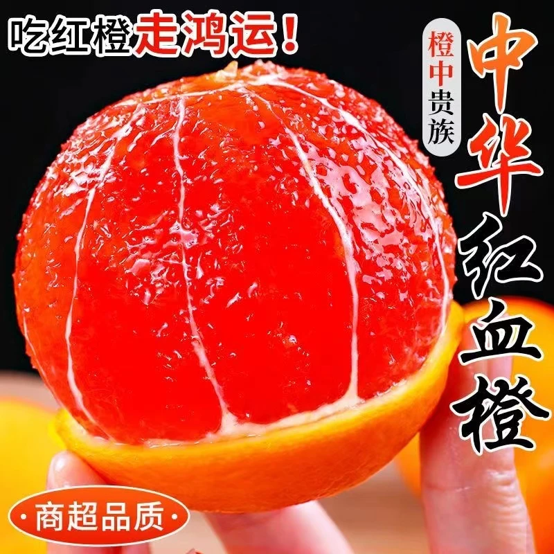 【惊爆价抢带箱五斤大果】中华红血橙新鲜现摘当季红心肉甜多汁jj