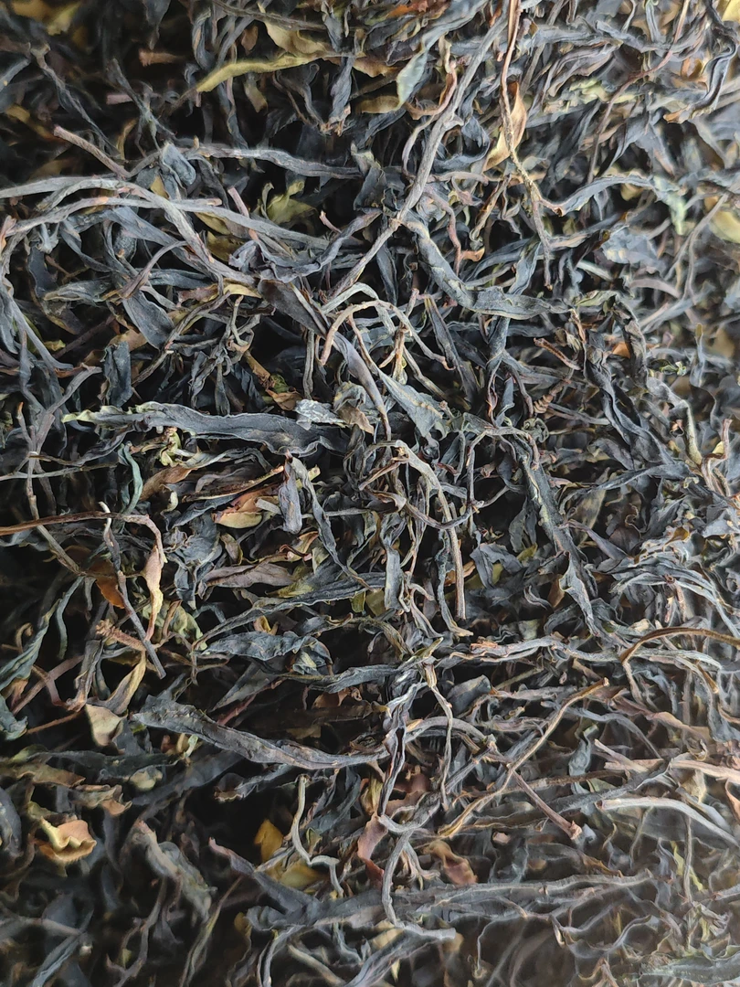 2025年哀牢山千家寨野生茶 云南普洱茶 生茶 、散茶