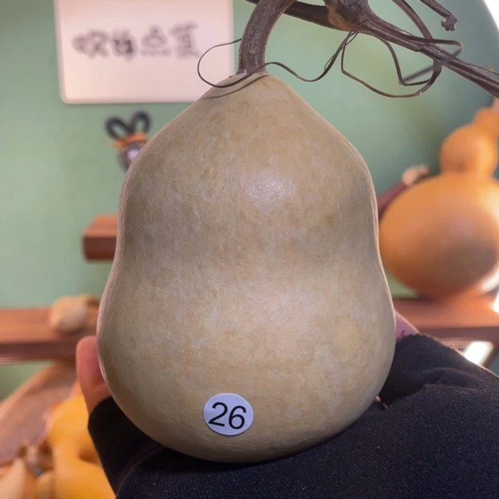 看好下单不保龙头