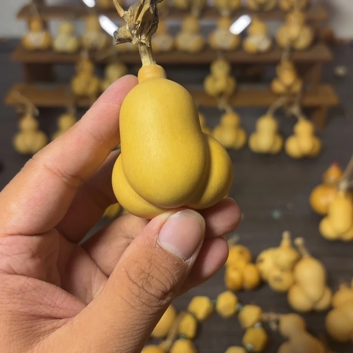 @***吖葫芦葫芦葫芦葫芦