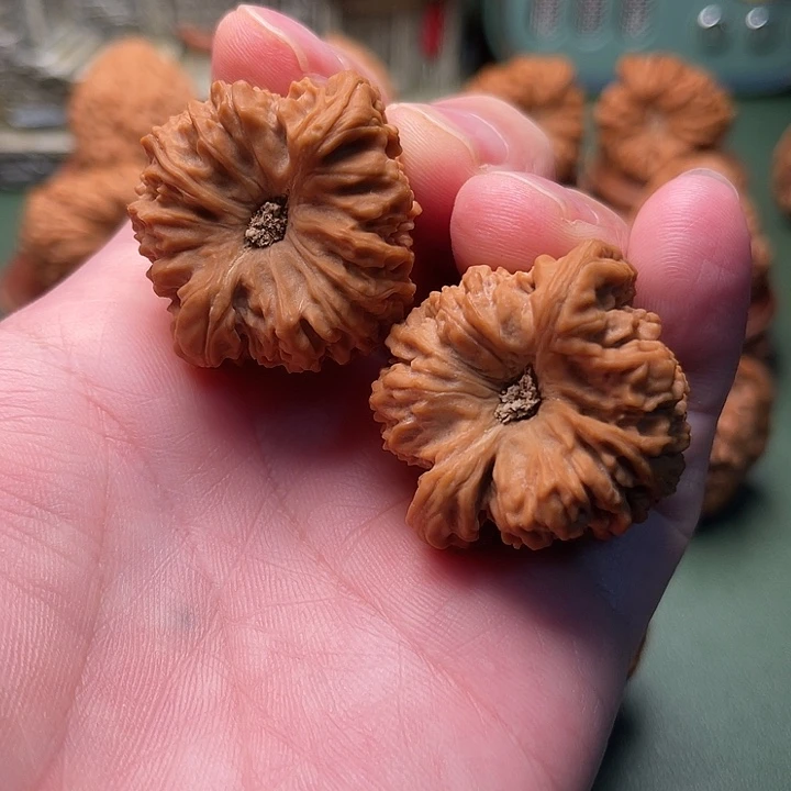 酒杯大凹底南将石