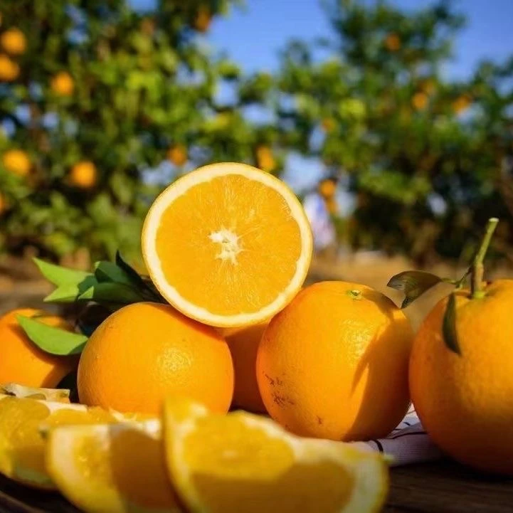 正宗赣南脐橙新鲜现摘当季鲜果5斤10斤20斤