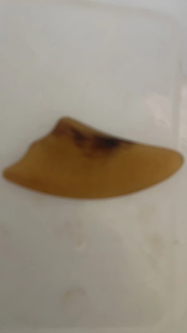 X20 特色手工艺木制品