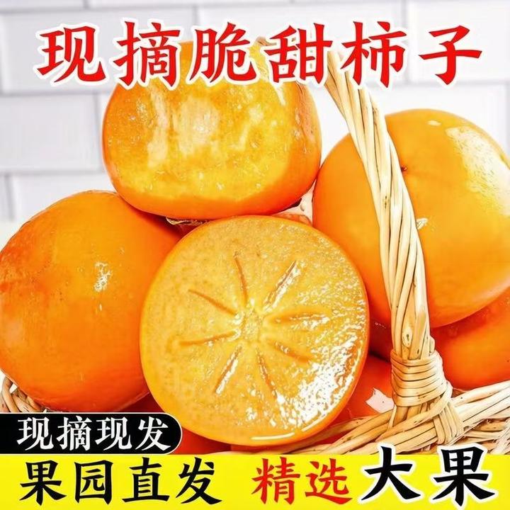 正宗巧克力脆柿脆甜爽口冰糖心新鲜应季硬柿子孕妇水果山西