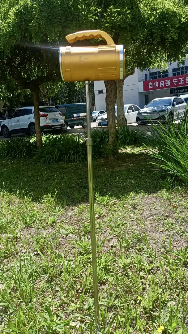 不锈钢户外钓鱼灯架夜钓灯架地插支架加粗可抗重灯渔具配件灯架