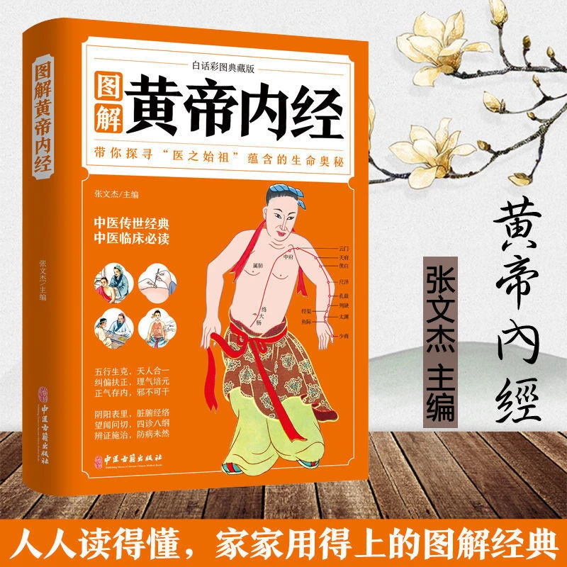 乐品学黄帝内经典藏版白话版原文本草纲木全注医学书籍中医养生