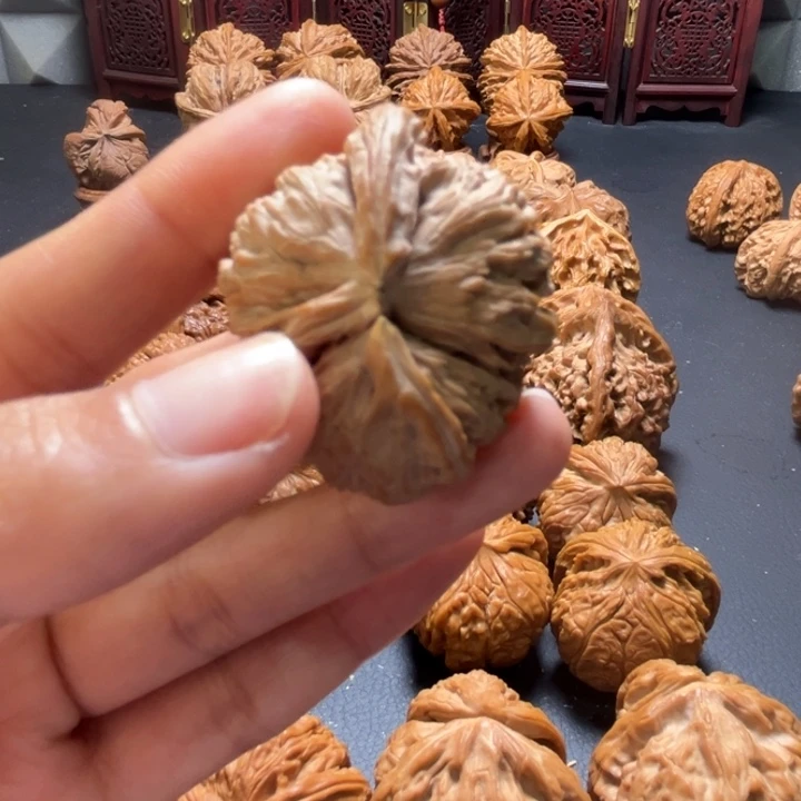 白狮子推土机41尺寸单只核桃哈哈哈哈