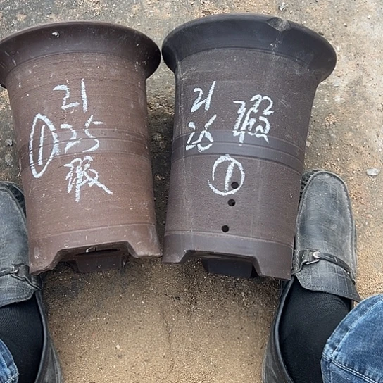 紫砂工艺厂……紫砂工艺厂……