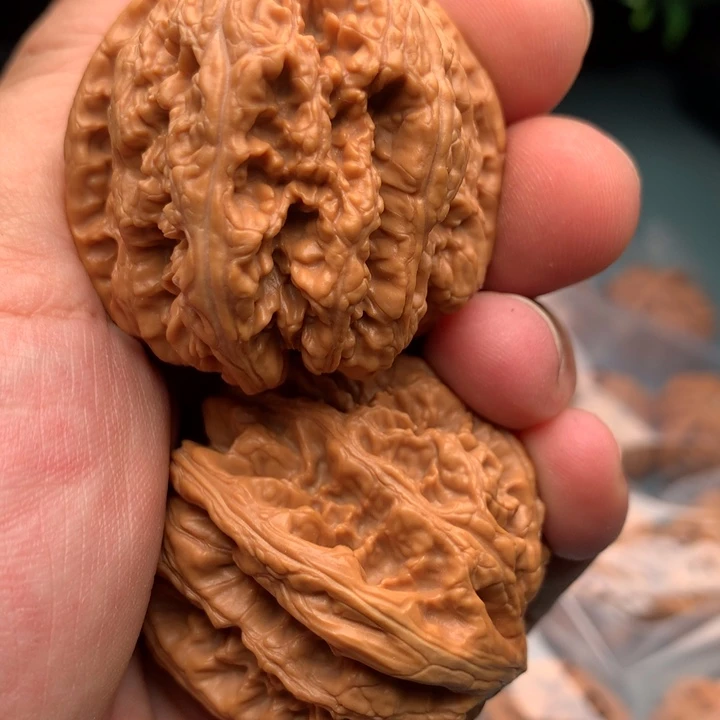 把件文玩核桃学**记粗筋61