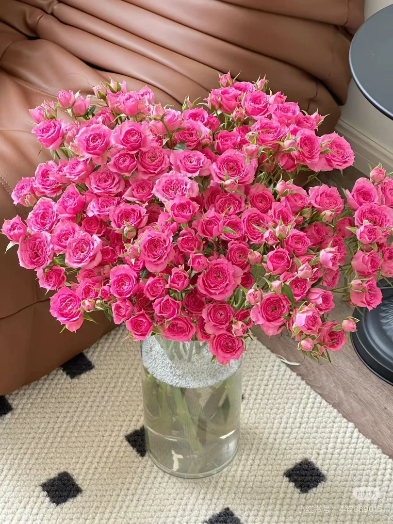 苏菲多头玫瑰鲜花鲜切花适合客厅家庭会议插花昆明直发