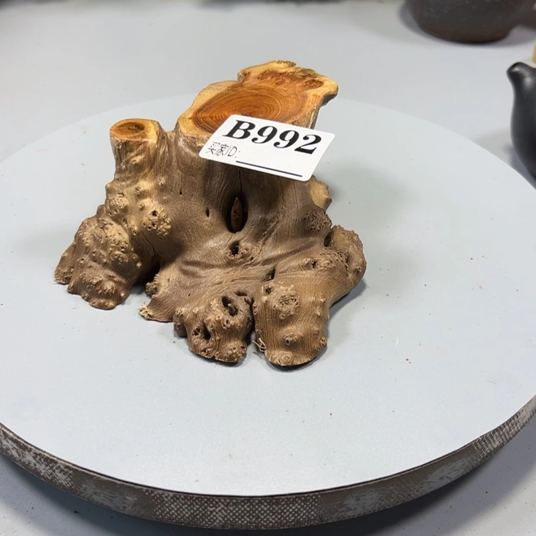 大果紫檀（缅甸花梨）迷*