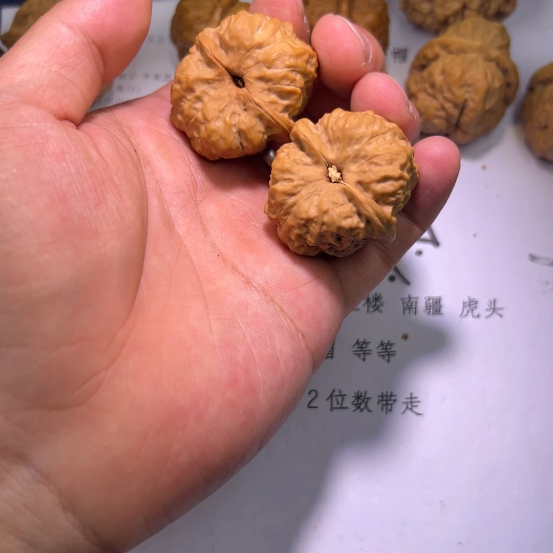 （****～蛤蟆头一对，打手