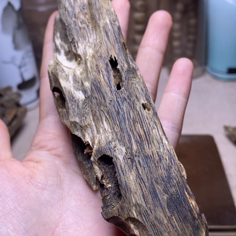 【闪购商品】香榧木海南32克