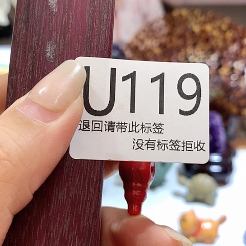 大叶紫檀（黑酸枝木类）119