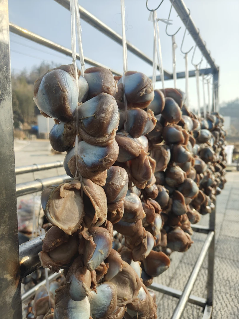 大别山散养稻田板鸭咸鸭胗