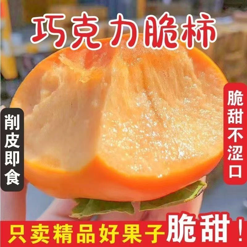 农家自种稀有品种小柿子新鲜水果脆甜巧克力脆柿子软硬两吃火晶柿