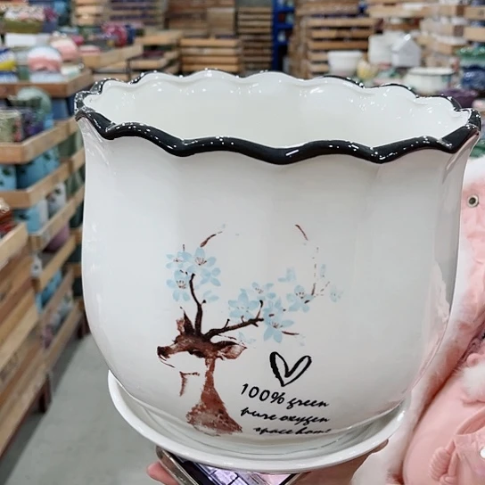 红陶直播间已有一年里