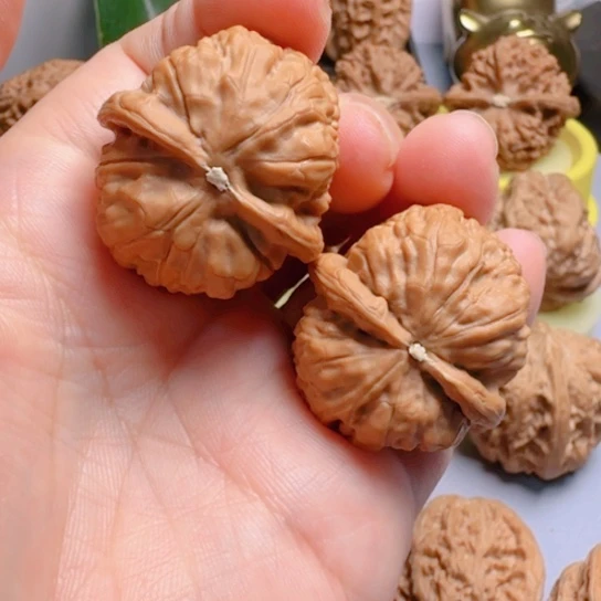 金钱豹骨质好文玩核桃