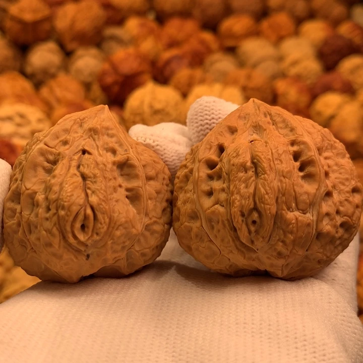 19哦哦哦哦哦哦哦哦哦哦哦