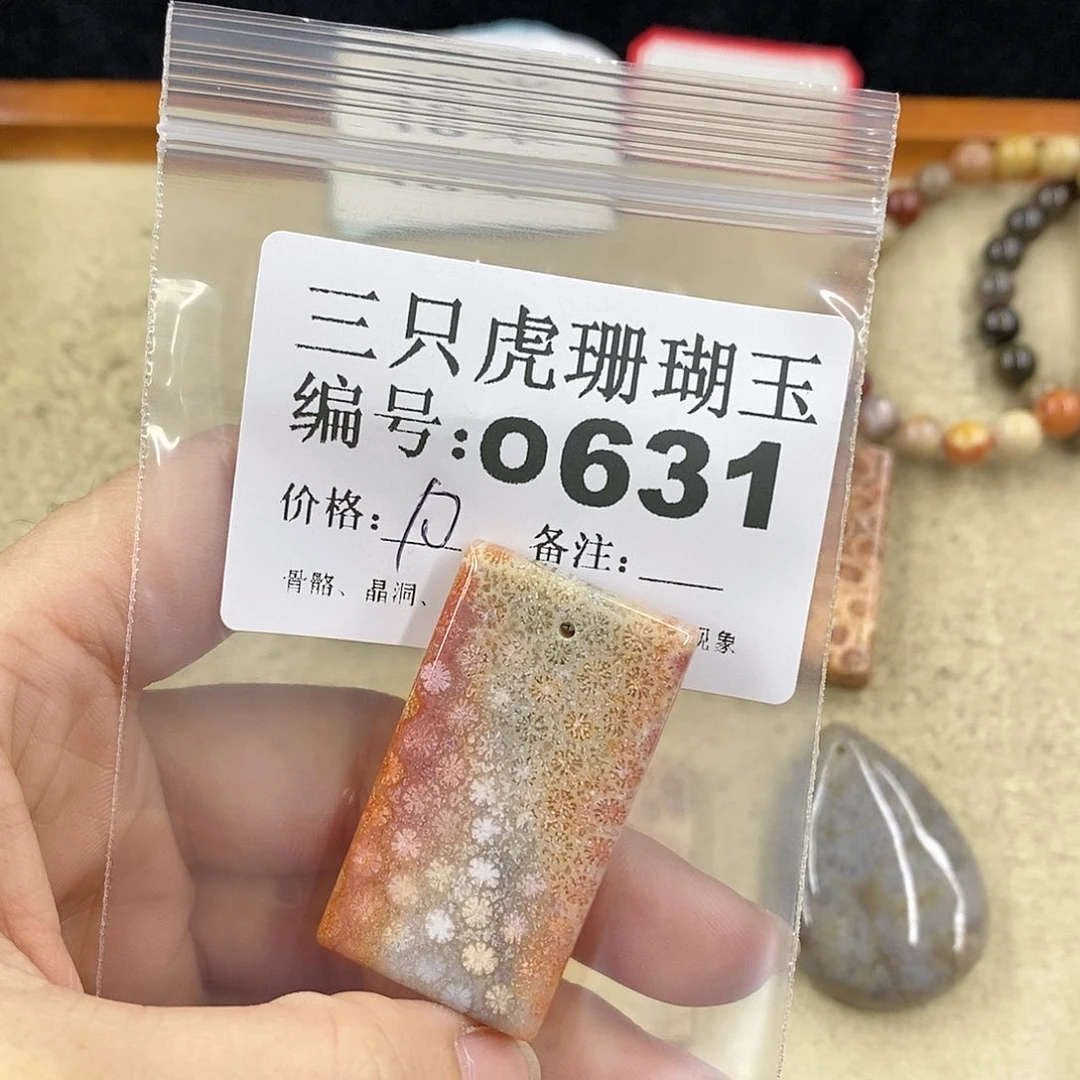 硅化珊瑚（珊瑚玉）1未镶嵌山**人