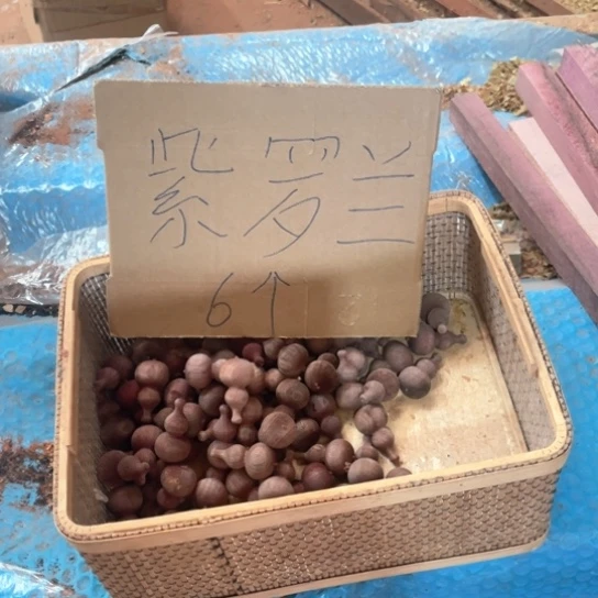 非洲紫檀(红花梨)