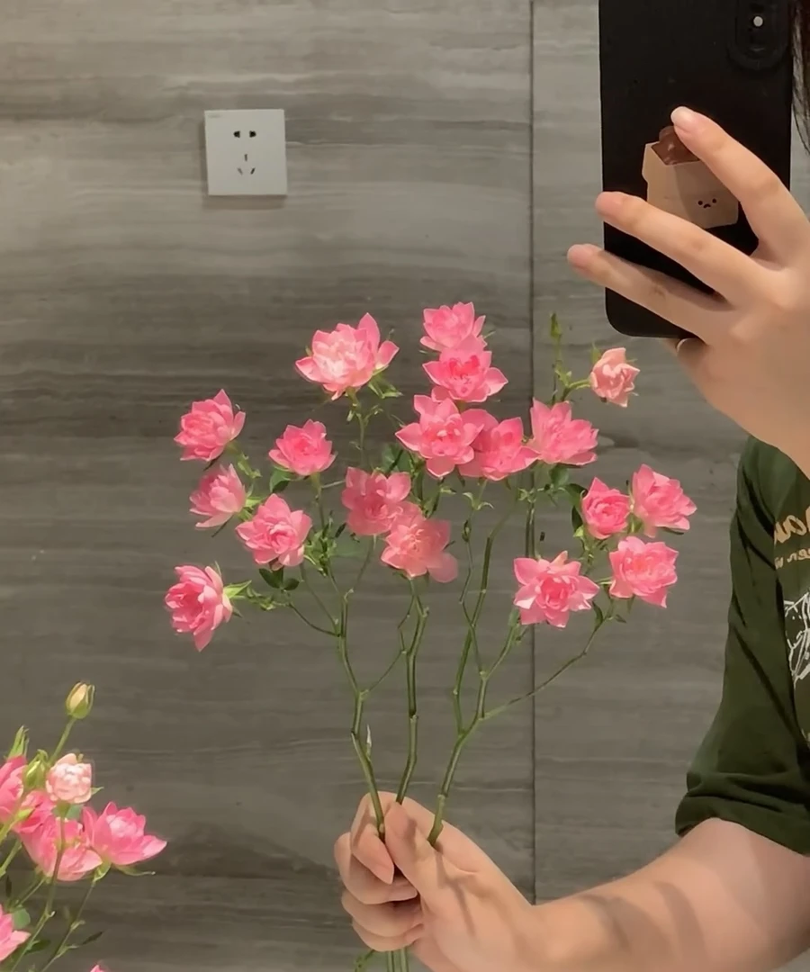 天荷繁星多头玫瑰稀有小众花材