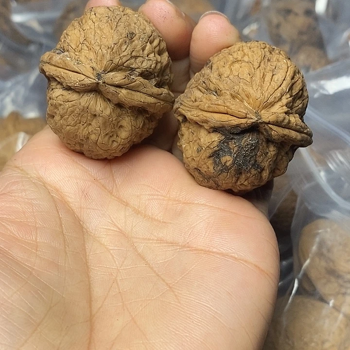 把件文玩核桃云南铁核桃61