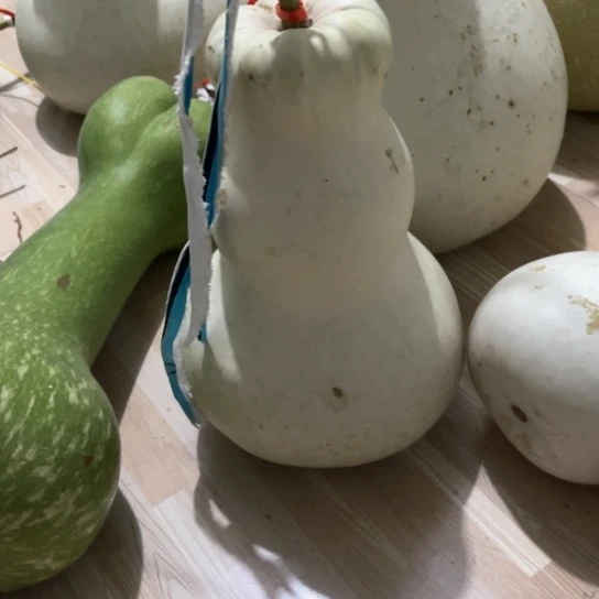 看**风葫芦葫芦葫芦葫芦