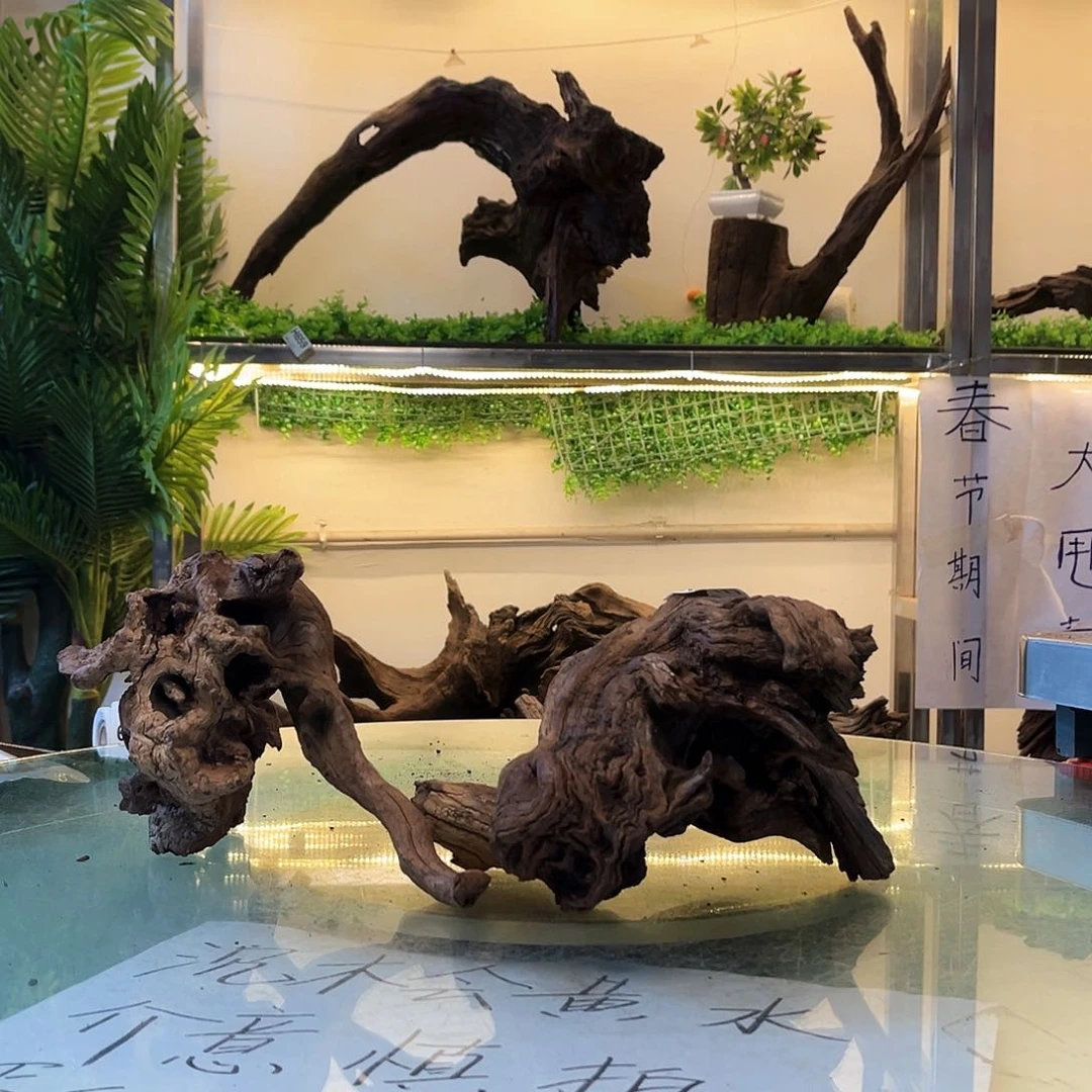 柚木沉木鱼缸造景