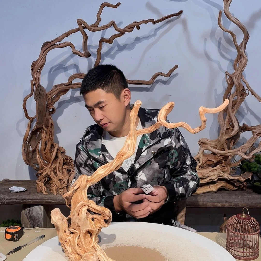 核桃木/黑胡桃（胡桃木）?**?