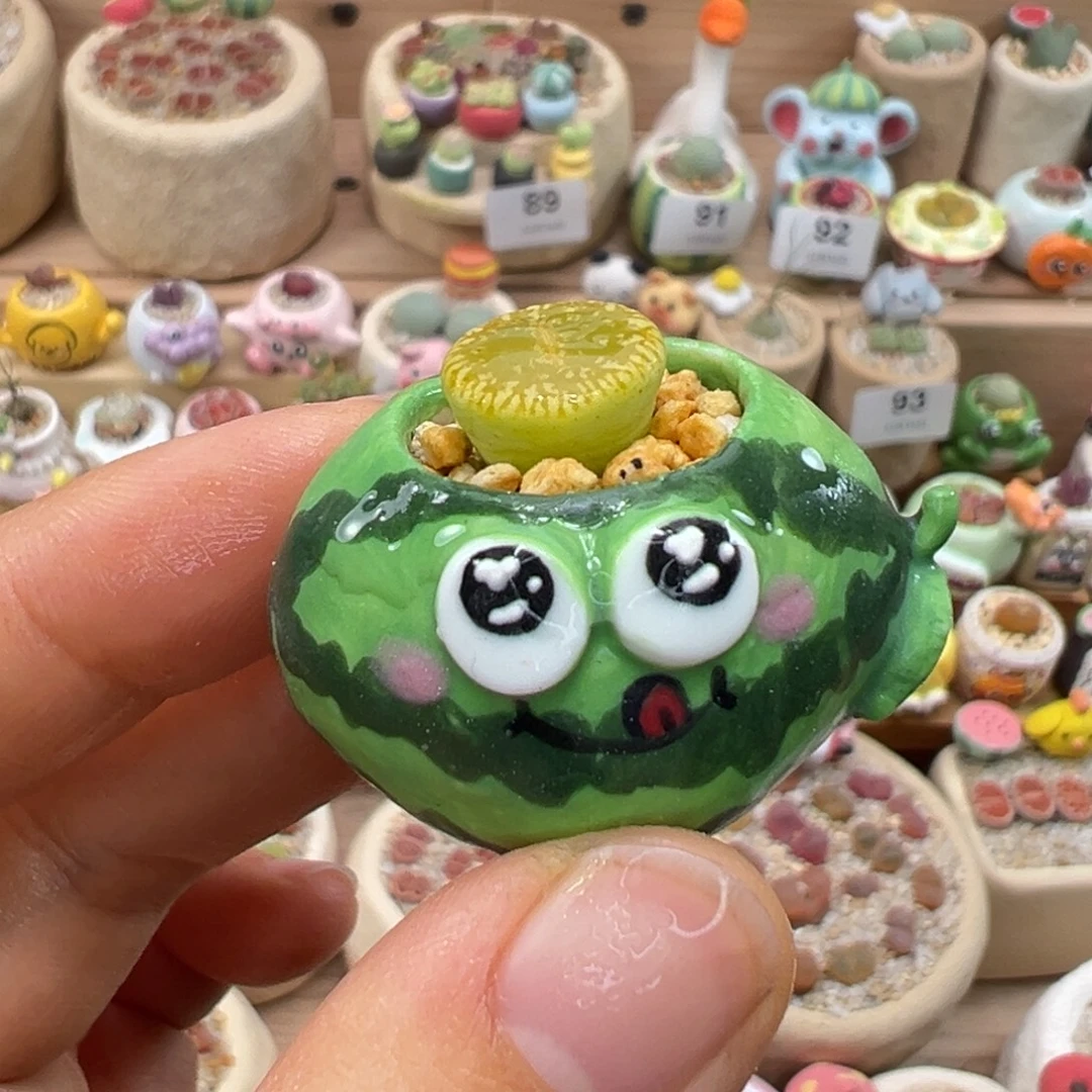 多肉植物100号拇指盆