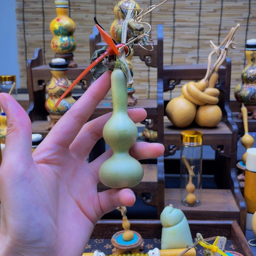 善***芦我是一只小小鸟地域鬼