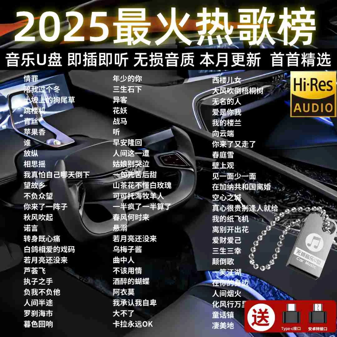 2025火遍抖音热歌汽车载u盘高品质歌曲无损音质柏林之声音乐优盘