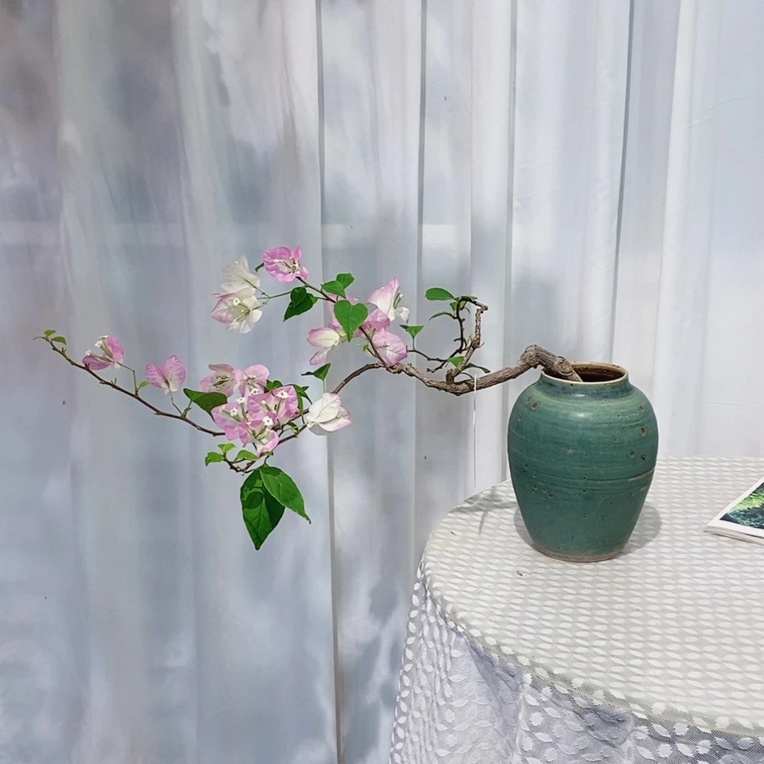 【闪购商品】完全开放灼*椰子冰 包木架 运费到付