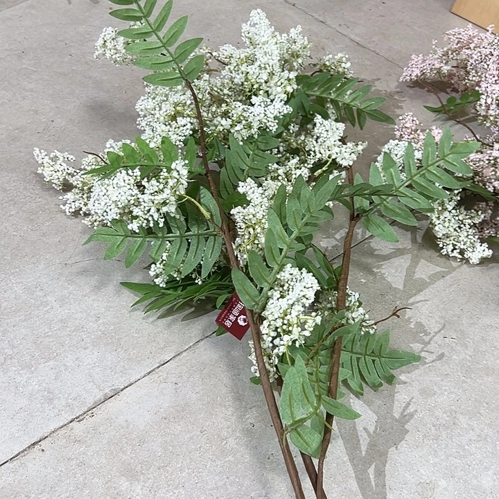 拍品3支大福利大福利大福利