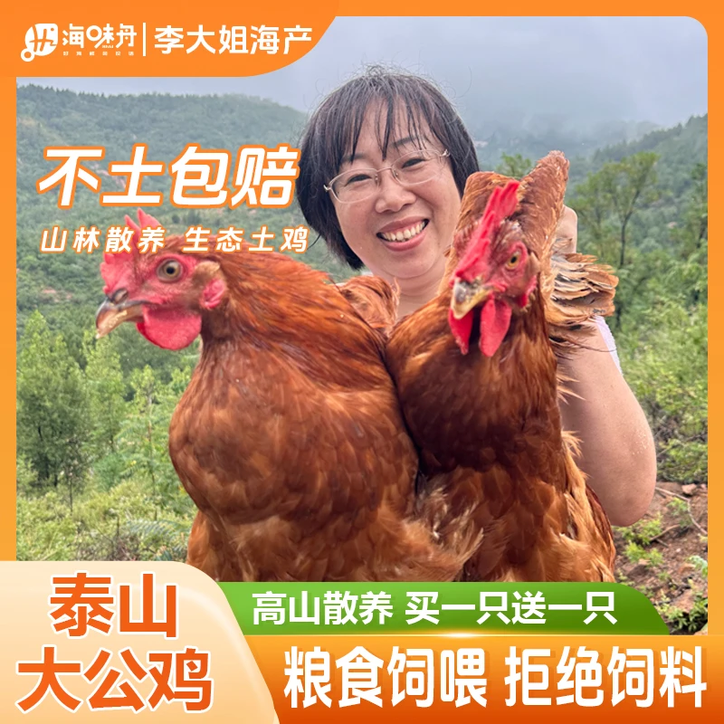 【李大姐】泰山溜达鸡 走地大公鸡山林散养新鲜宰杀 每只3斤到3.5斤