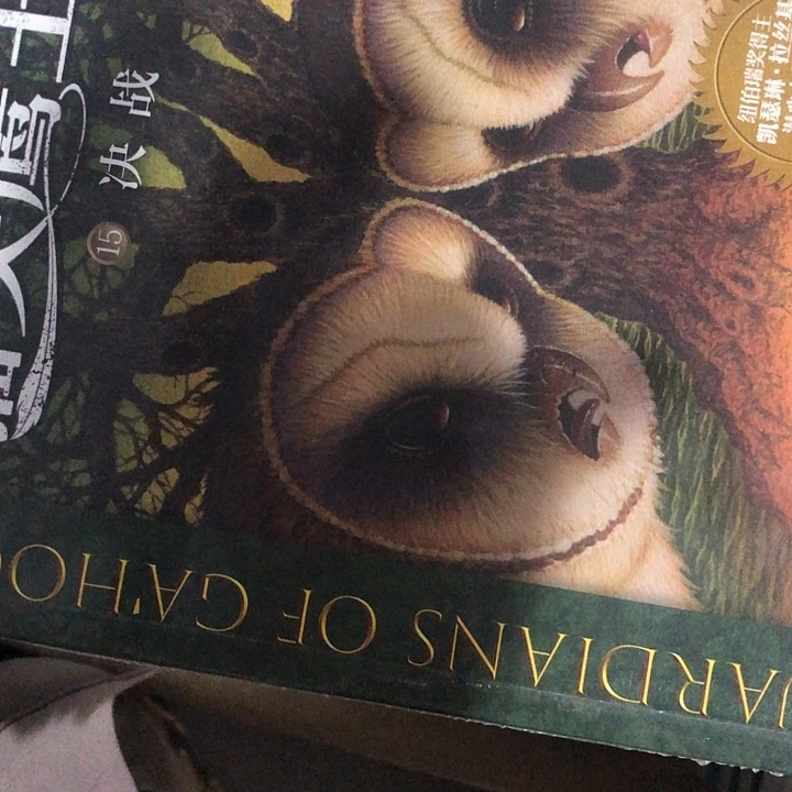 猫头鹰王国14本少6本