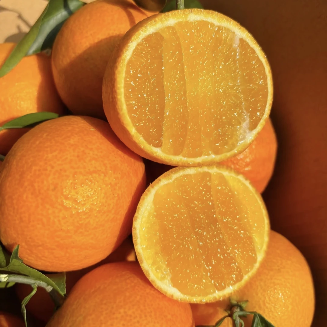 【爆汁香甜】新鲜现摘多汁应季水果爱媛38号果冻橙眉山产地直发包邮