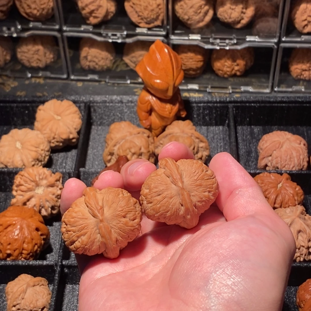 大叶紫檀（黑酸枝木类）