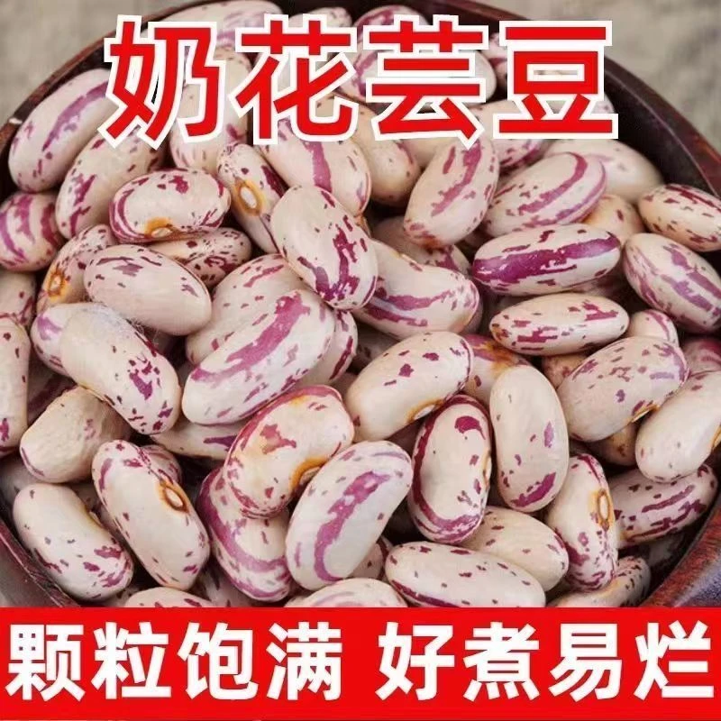 贵州雀蛋豆饱满子奶花芸豆营养丰富可煮粥的五谷杂粮