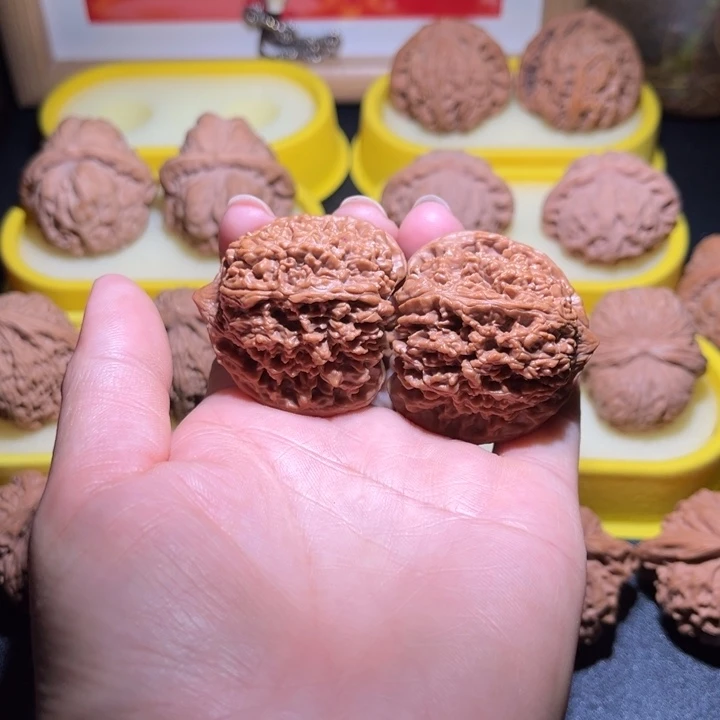 涞水山地果满天星全品41