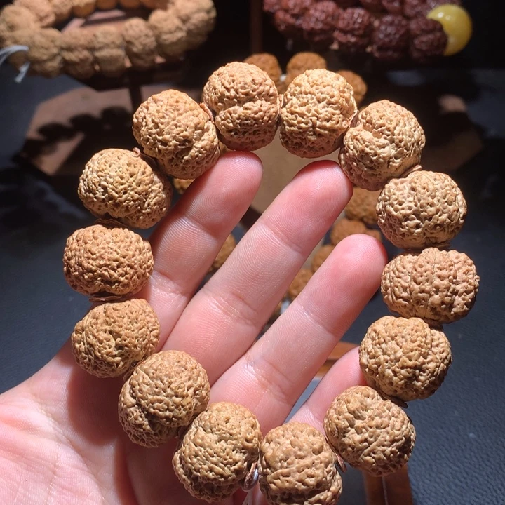 菩提籽类24+菠萝蜜