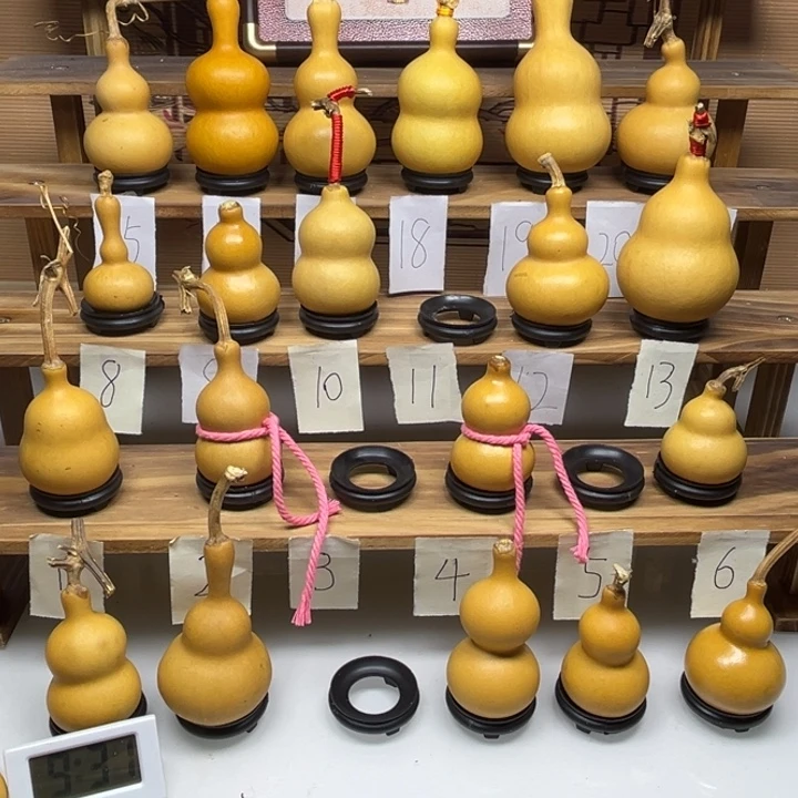 八***乐啦啦啦啦啦啦啦啦啦啦