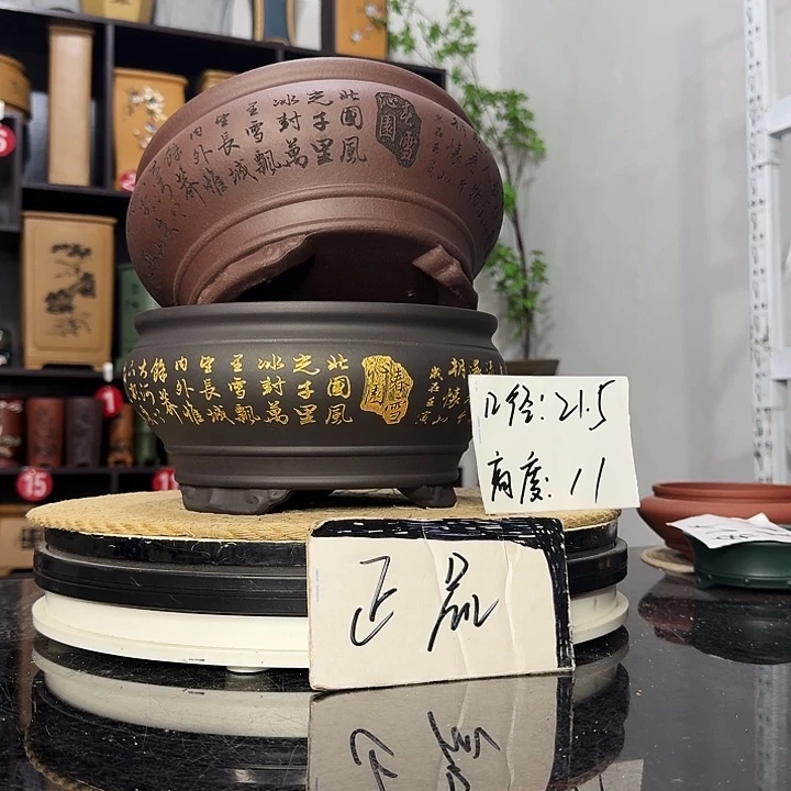 紫砂花盆盆友记紫砂花盆