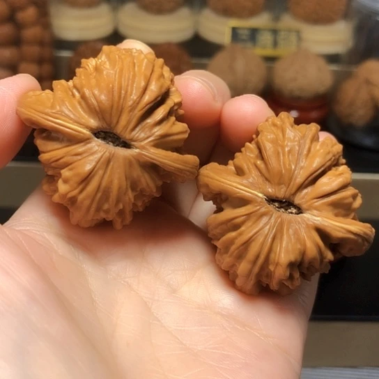 特价福利：四座楼狮子头