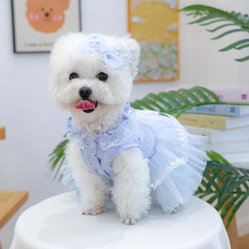 宠物圈蕾丝透气宠物裙狗狗衣服华尔兹纱裙-蓝宠物衣服