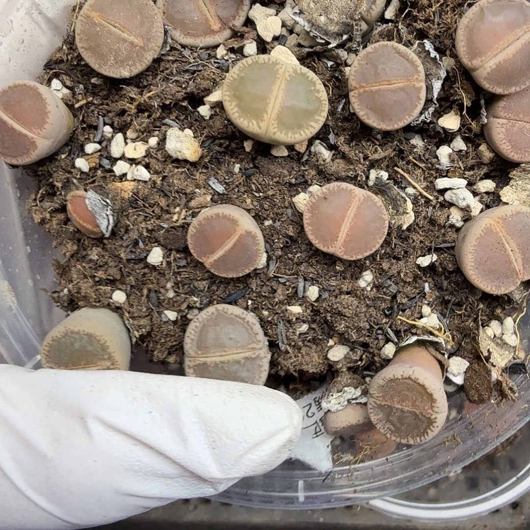 不会因为不懂自己内心世界653这个