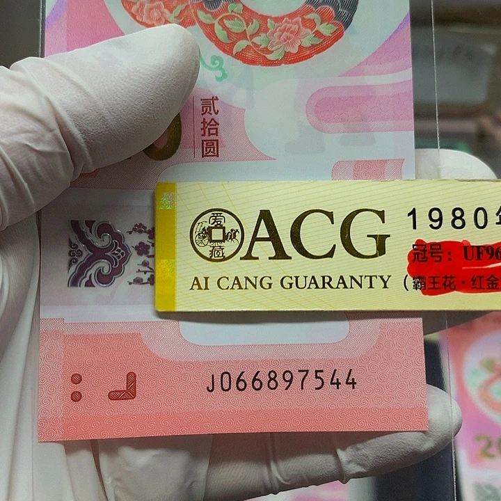 一张一张一张一张一张一张